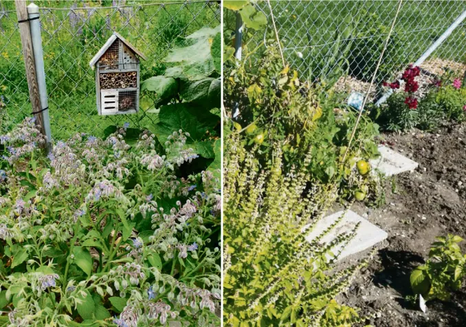 © Nathalie Schopfer