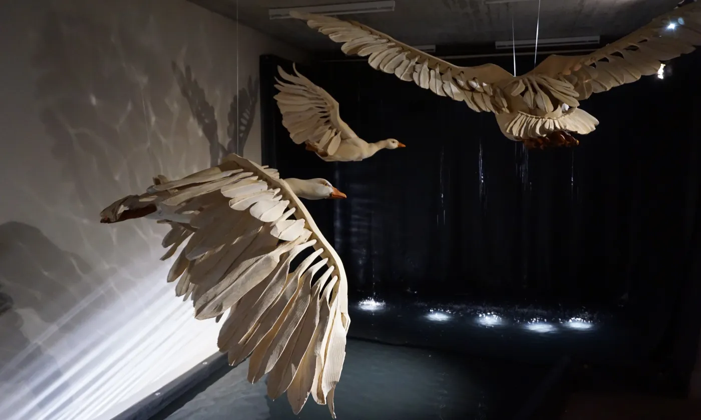 © Fanny Anderegg : LDD