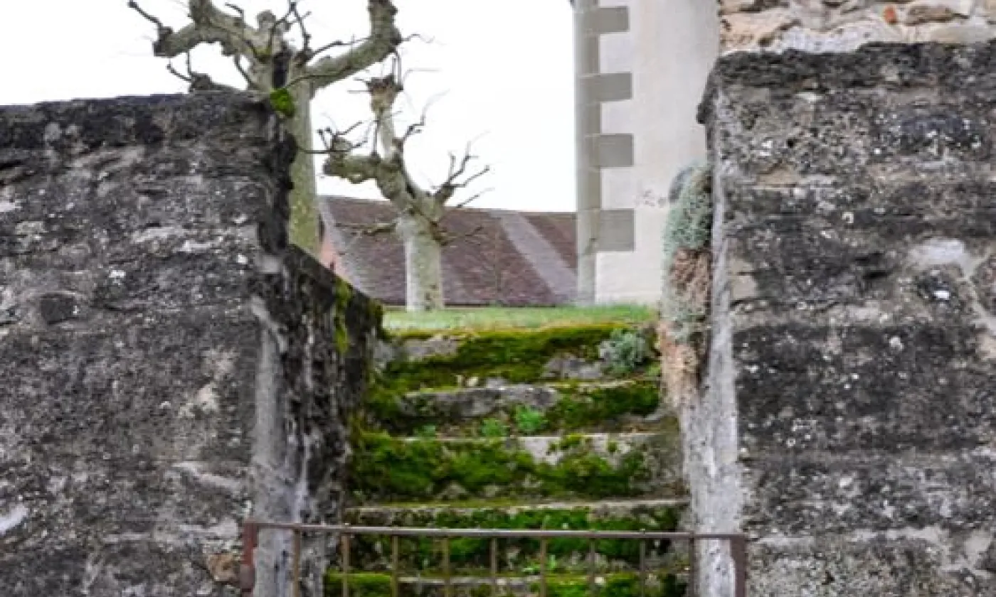 Alexandra Urfer Jungen