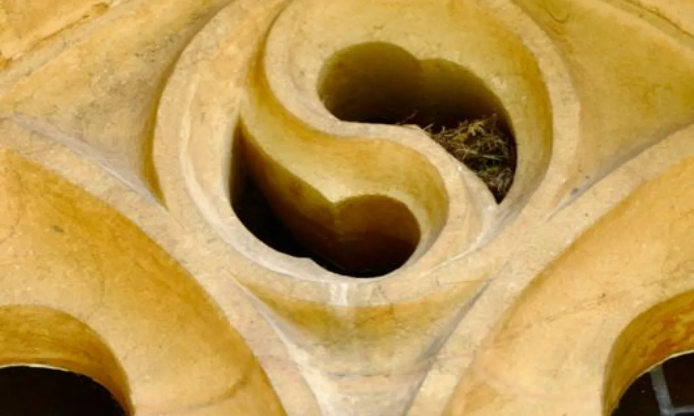 Alexandra Urfer Jungen