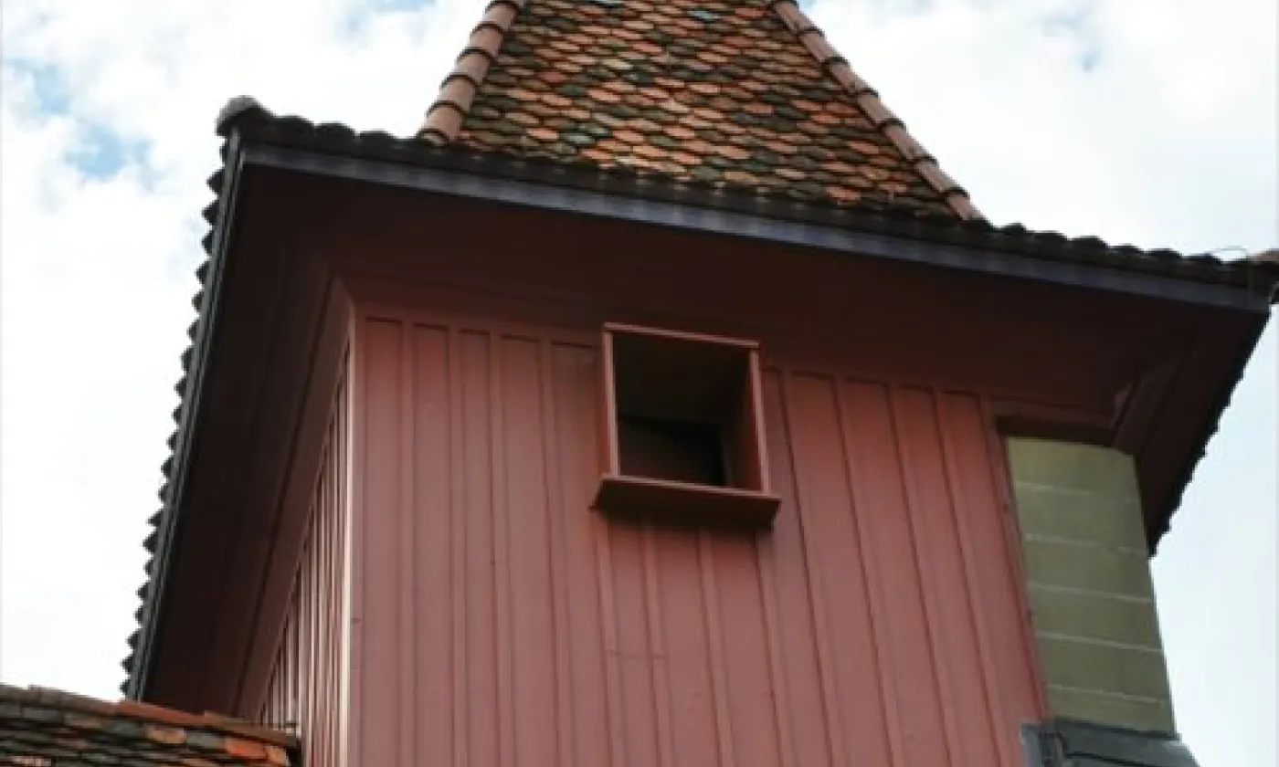 Alexandra Urfer Jungen