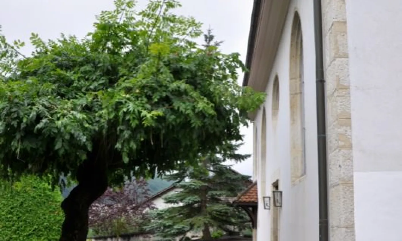 Alexandra Urfer Jungen