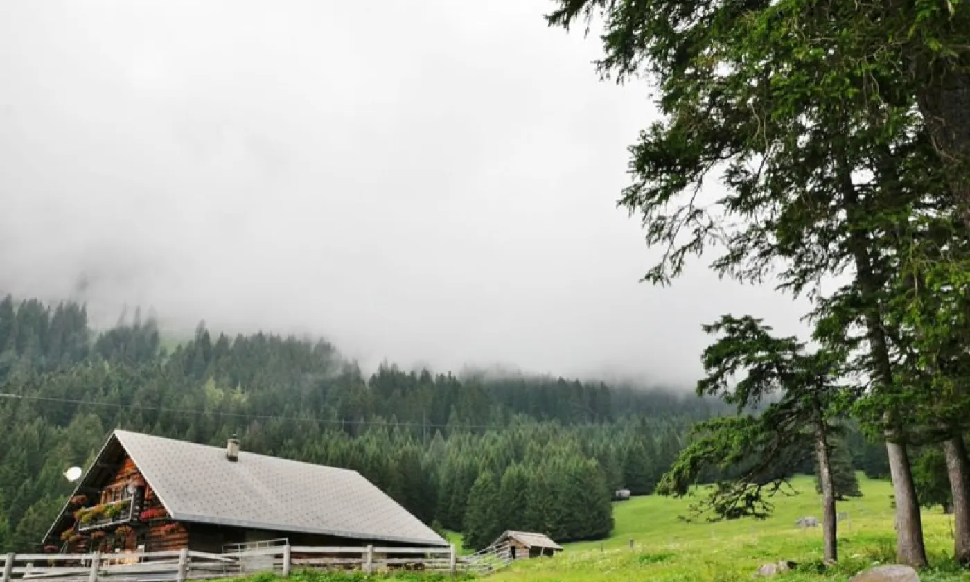 Alpage de Solalex (©Alexandra Urfer Jungen)