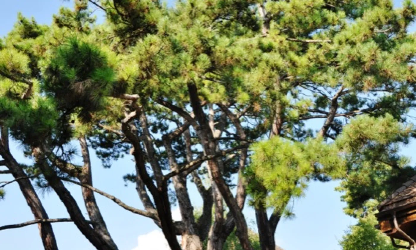 Alexandra Urfer Jungen