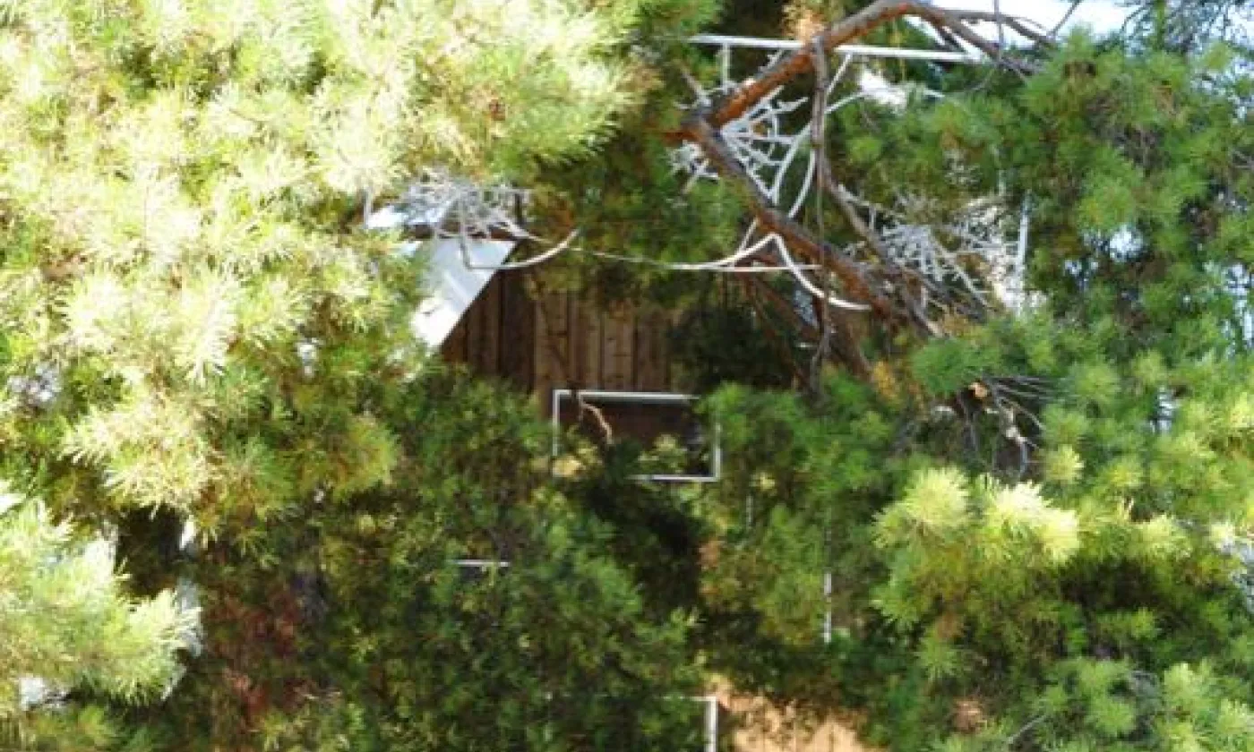 Alexandra Urfer Jungen