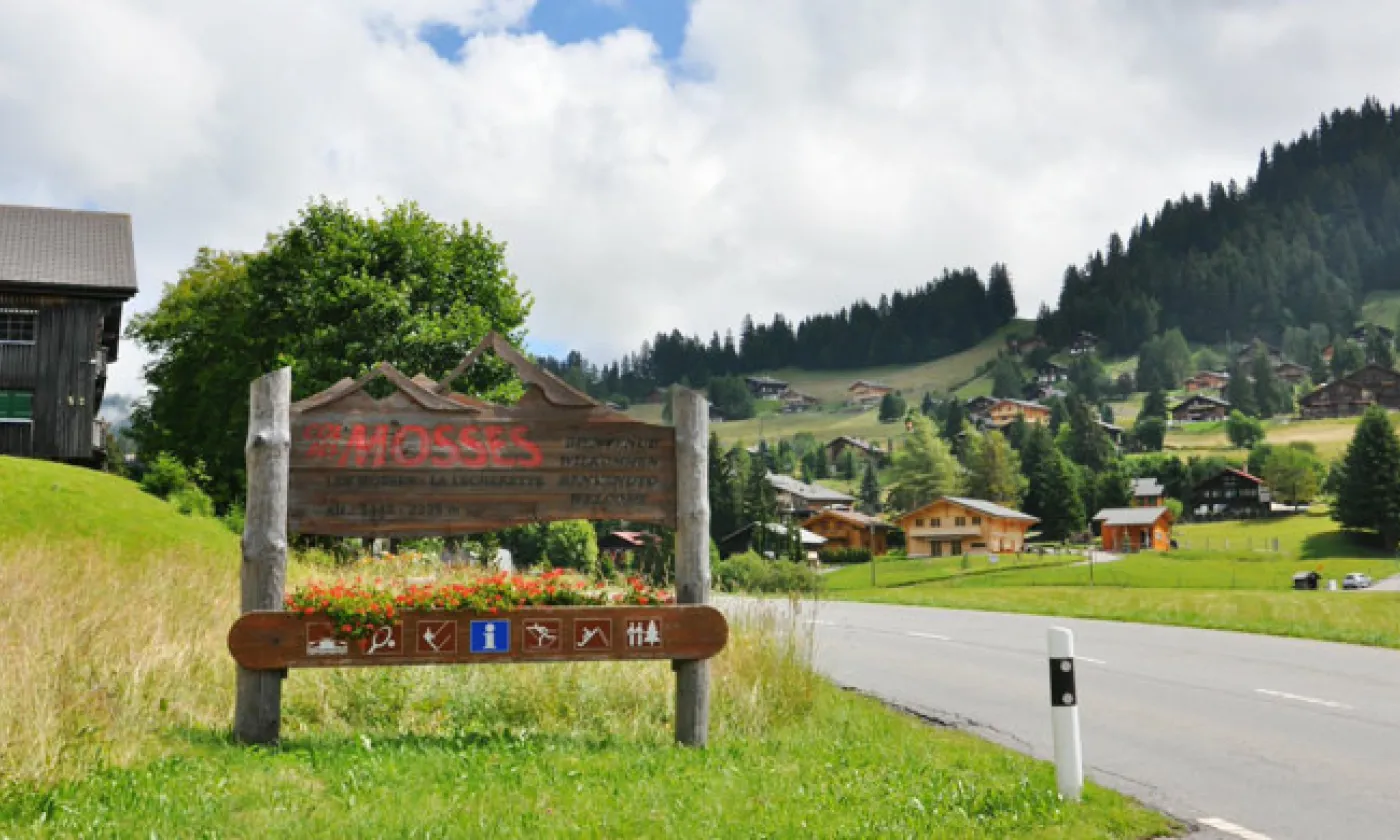 Alexandra Urfer Jungen